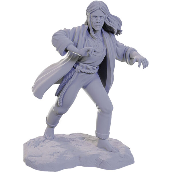 Wizkids D&D Nolzurs Marvelous Unpainted Miniatures Wave 22 Reborn Paladin and Warlock 90673