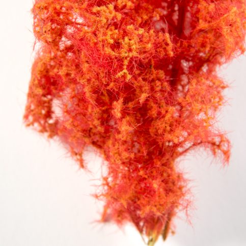 AK Interactive Fantasy Bushes Red-Orange AKI 8266