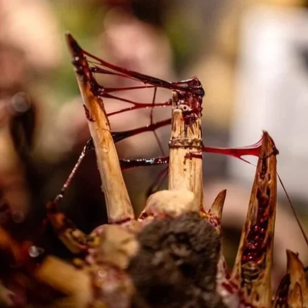 Dirty Down Gore Effects 15ml in use