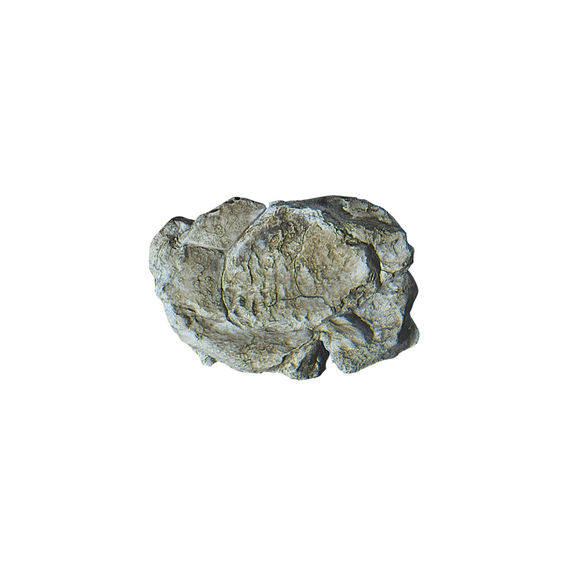 Woodland Scenics Rock Mold - Wind Rock 5x7 inch C1237
