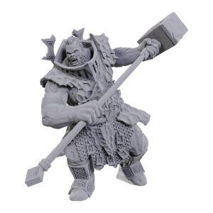 Wizkids D&D Nolzurs Marvelous Unpainted Miniatures Wave 23 Firegaunt 90111