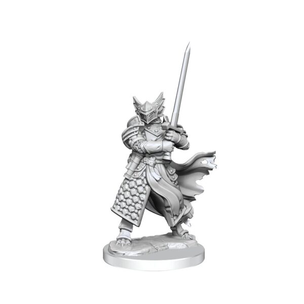 Wizkids D&D Frameworks Unpainted Miniatures Wave 1 Dragonborn Paladin Male 75022