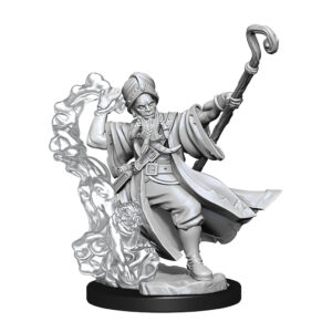 Wizkids D&D Frameworks Unpainted Miniatures Wave 1 Human Wizard Male 75030