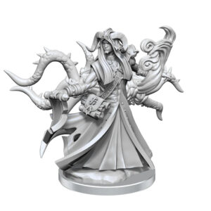 Wizkids D&D Frameworks Unpainted Miniatures Wave 1 Tiefling Warlock Male 75034