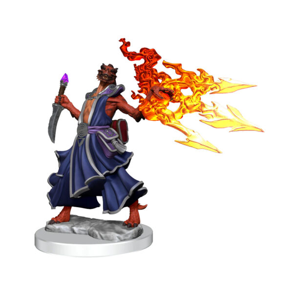 Wizkids D&D Frameworks Unpainted Miniatures Wave 1 Dragonborn Sorcerer Female 75035