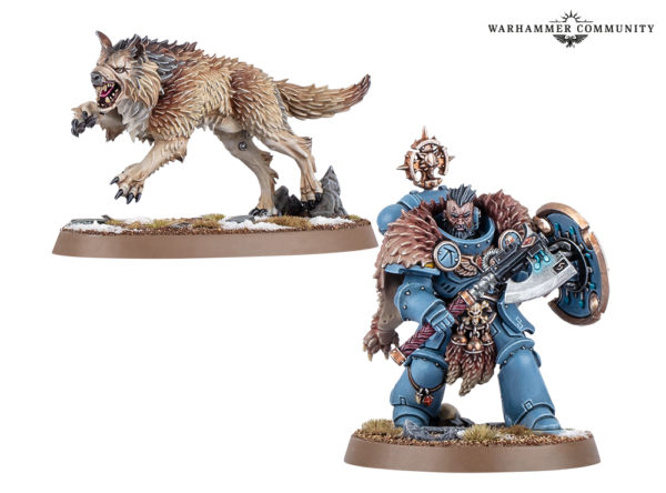 Warhammer 40000 Spaces Wolves Wolf Guard Headtakers
