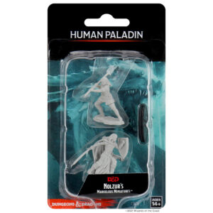 Wizkids D&D Nolzurs Marvelous Unpainted Miniatures Wave 10 Female Human Paladin 73830