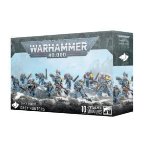 Warhammer 40000 Space Wolves Grey Hunters 53-21 Box