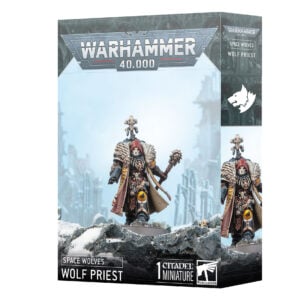 Warhammer 40000 Space Wolves Wolf Priest 53-32 Box