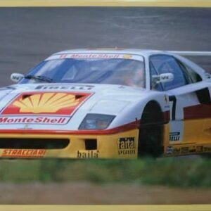 Fujimi 1993 Ferrari F40 Marco Brand 1/16 Scale 10130
