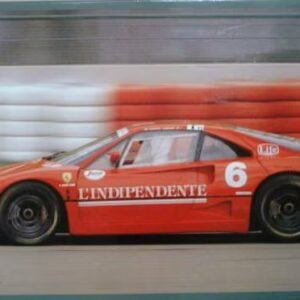 Fujimi Ferrari F40 Vittorio Colombo 1/16 Scale 10133