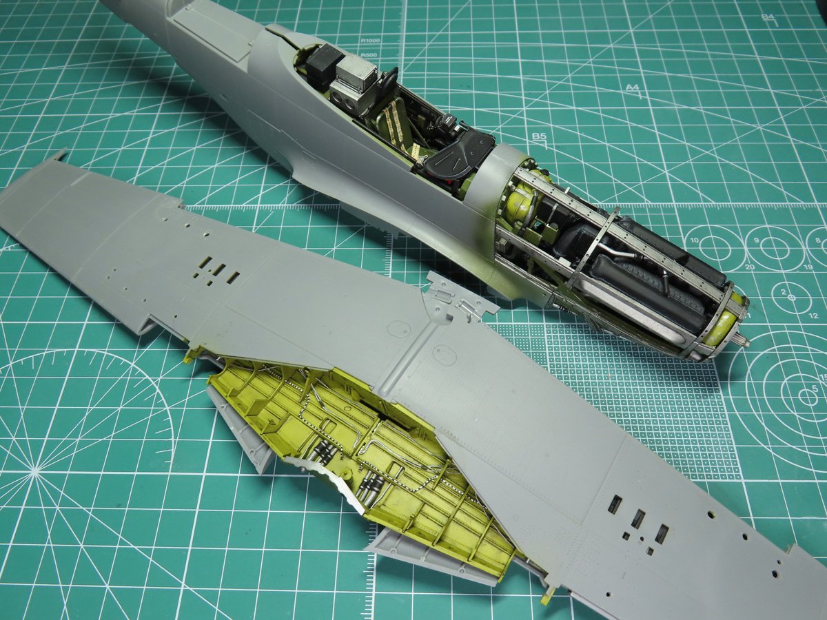 Wing and Fuselage Sections