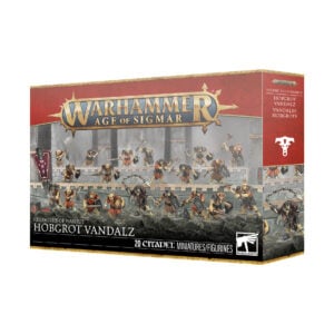 Hobgrot Vandalz Helsmiths of Hashut Age of Sigmar Warhammer 82-09 Box