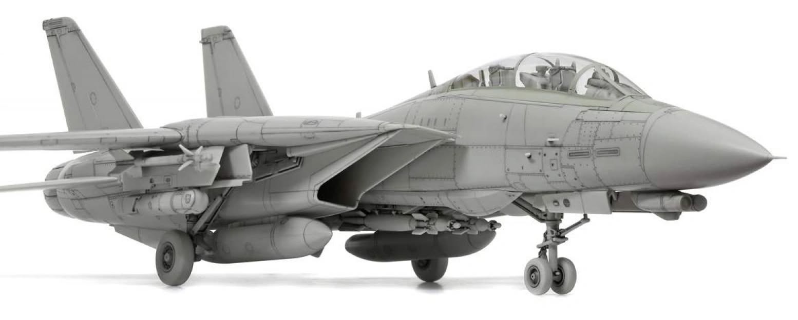 Inital View Tamiya Grumman F-14D Tomcat 1-72 Scale 60795
