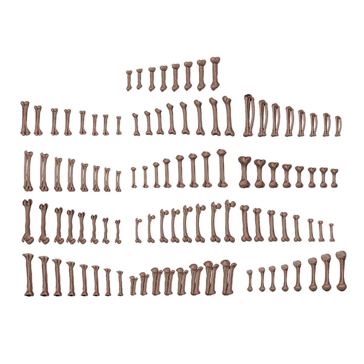 AK Interactive Basing Bits Human Bones AKBIT0013