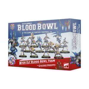 High Elf Blood Bowl Team The Caledor Dragons Blood Bowl Warhammer 202-62 Box