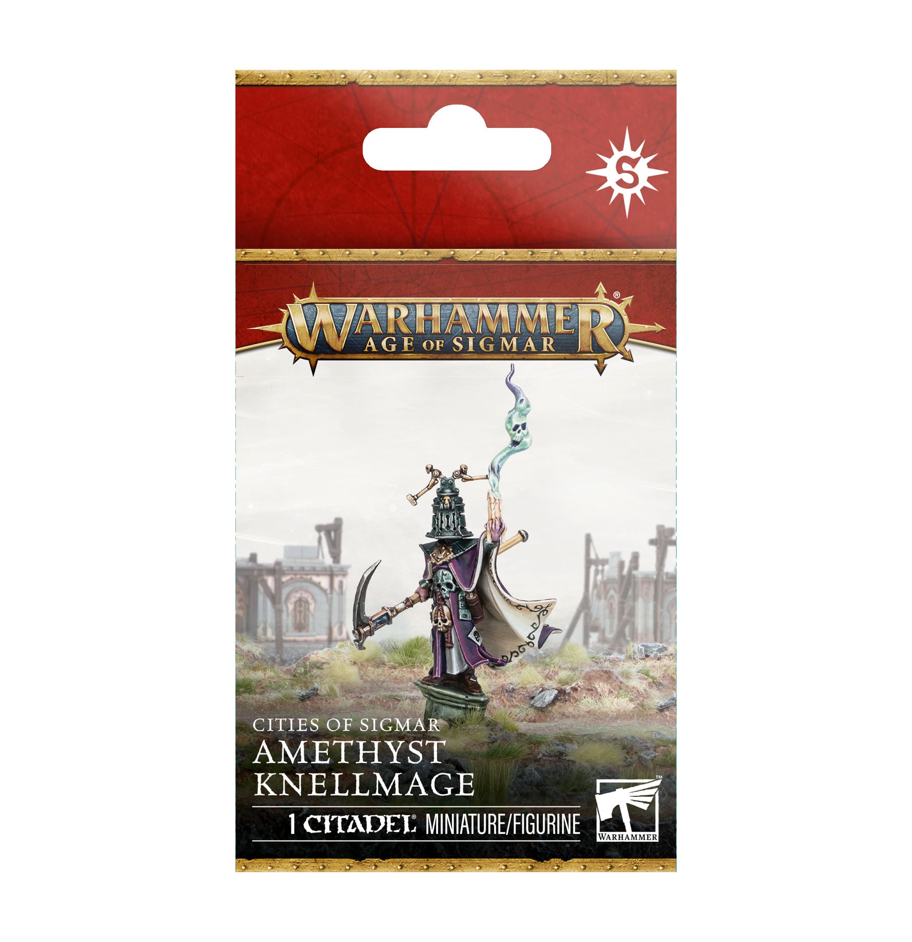 Amethyst Knellmage Cities of Sigmar Age of Sigmar Warhammer 86-13