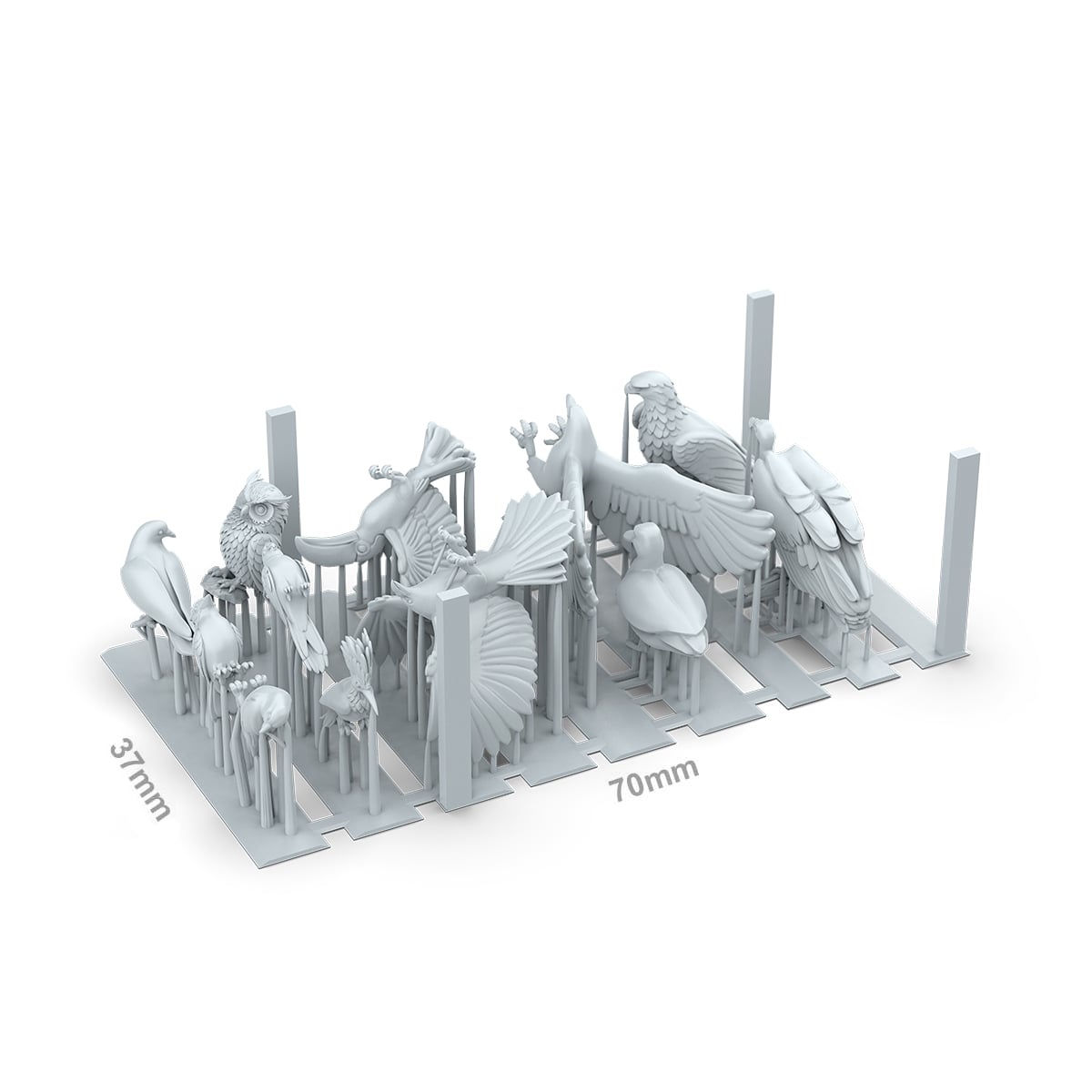 AK Interactive Birds AKBIT0051 Details