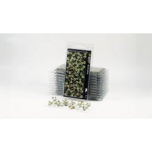 Gamers Grass Laser Plants Bugloss GGLP-BL