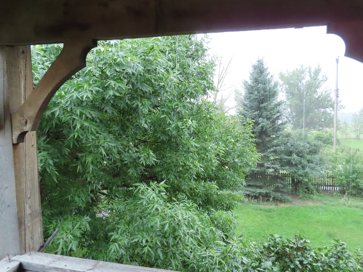 Raining Here